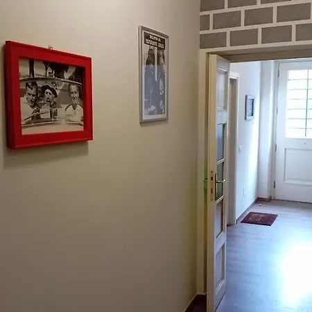 Ciak مولاتْسو
